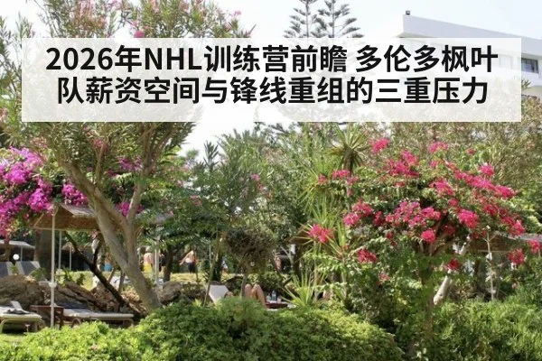 2026年NHL训练营前瞻 多伦多枫叶队薪资空间与锋线重组的三重压力